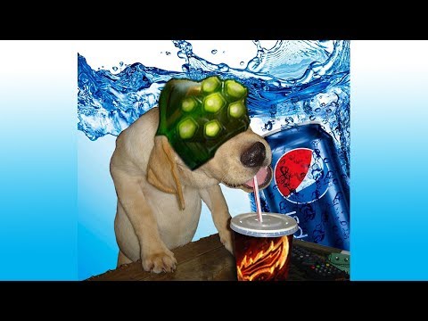 Master Yi: Revengeance