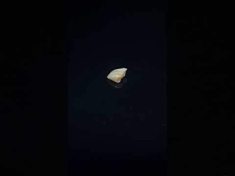 YouTube 썸네일