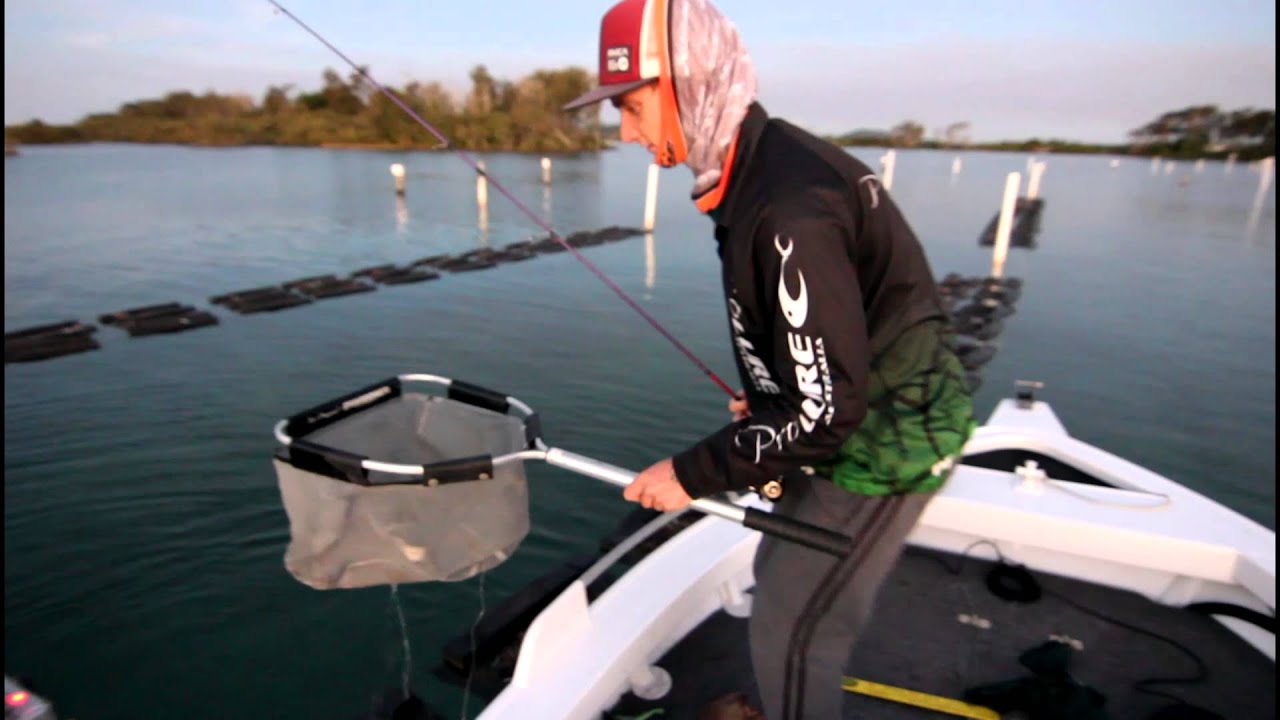Prolure S36 Shallow 36mm Crank Lure video thumbnail