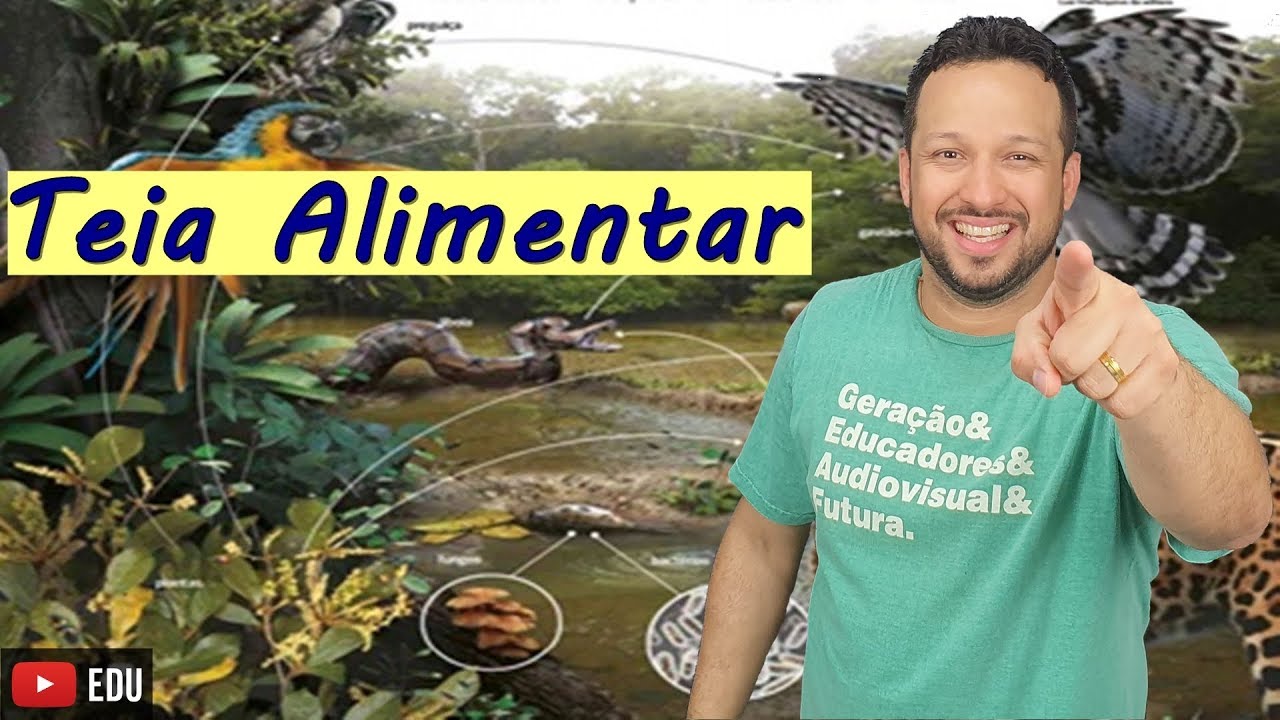 Teia Alimentar - Ecologia - Biologia com o Tubarão