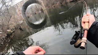 Winter Fly Fishing Native Species in the Lehigh Valley 