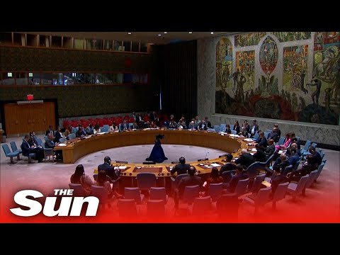 Weapons supplied to Ukraine and Russia the focus at UN Security Council