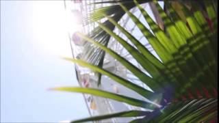 Jarabe de Palo - Como peces en el agua