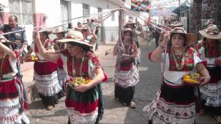 preview picture of video 'LOS REYES  MICHOACAN    EN QUITUPAN JALISCO 2012'