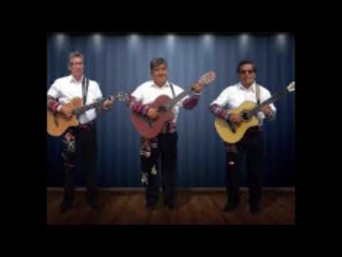 HUAYNOS DE HUANCAVELICA - Mix.02 (Trío Huancavelica, Trio Amanecer, Los campesinos, Hnos. Escobar)