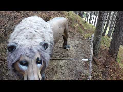 3D Parcours Hauer Hill des BSC-Piestingtal, Dezember 2020, alle Ziele