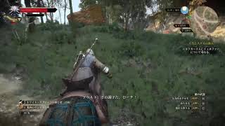ウィッチャー3 2週目 デスマーチ #1-2 どんだけ苦労するのか2週目デスマーチはじめるよ！ The Witcher 3 WILD HUNT