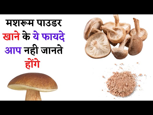 मशरूम पाउडर के सेवन से मिलते हैं कई फायदे