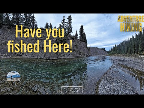 Epic Fly Fishing Spots You Never Knew Existed in Alberta (4K)