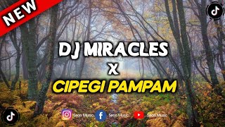 Download lagu DJ MIRACLES X CIPEGI PAMPAM JEDAG JEDUG SLOW KANE VIRAL TIKTOK mp3