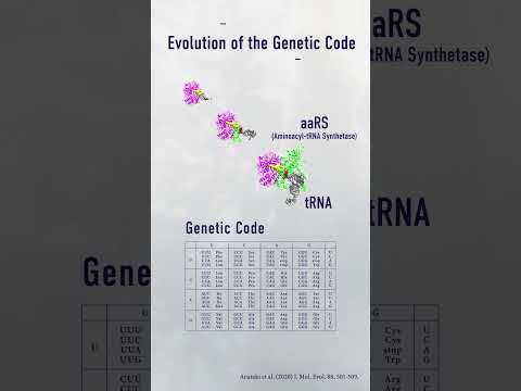 ORIGIN OF LIFE: Koji Tamura's Research