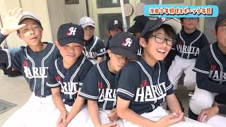 2026/4/29放送・知ったかぶりカイツブリにゅーす