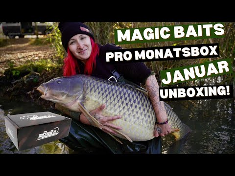Unboxing der Magic Baits Pro Monats Karpfenbox Januar 2026! Alles drin für Winterkarpfen!