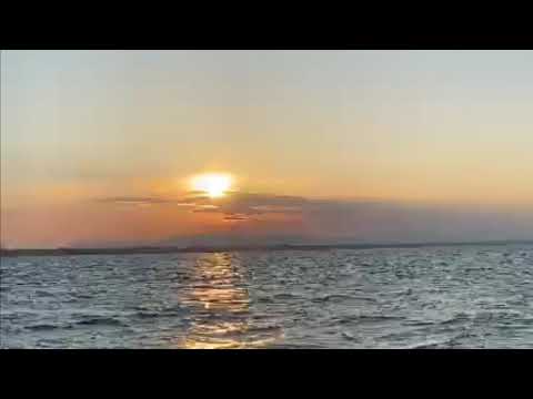 Il buongiorno dal peschereccio AlessiaMadre