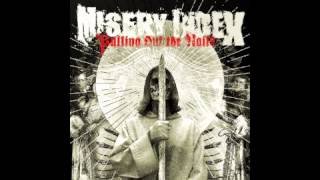 Misery Index -- Screaming At A Wall (Minor Threat Cover)