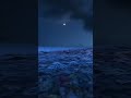 Woh Lamhe Woh Baatein Song In My Voice 4K Ultra Nature Video S ️ ️