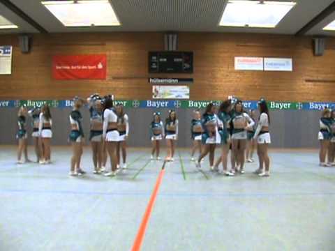 Sommerfest 2011 SC Bayer 05 Uerdingen Auftritt Dolphins Allstars