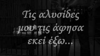 Active Member - Τώρα είσαι ελεύθερος και εσύ