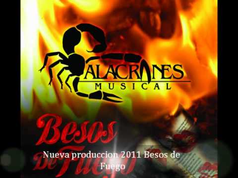 Te busque Alacranes Musical 2011