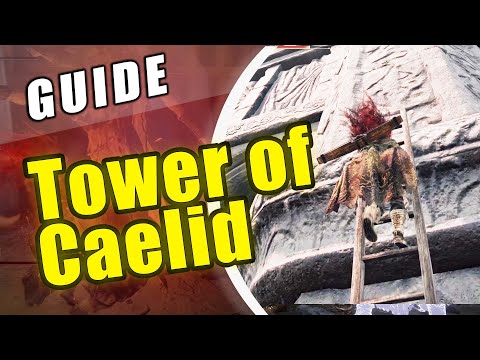 Elden Ring Divine Tower of Caelid 100% Clear All Items, Boss and Greate Rune Restore