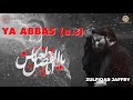 ZULFIQAR JAFFRY YA ABBAS YA ABBAS NEW NAUHA 2020 Jab Hawaon Me Nami Mehsoos Ki Abbas Ne