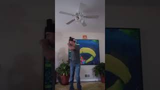 Dirty Heads High Tea