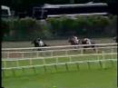 Risen Star - 1988 Belmont Stakes (Marshall Cassidy's NYRA call)
