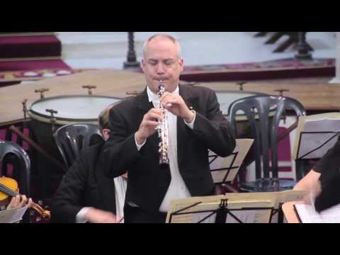 Albinoni Oboe Concerto Op. 9 no. 2 in D minor