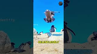 Download lagu Burung-burung Ini Adalah Pembunuh Berantai Paling Brutal mp3 Download lagu Burung-burung Ini Adalah Pembunuh Berantai Paling Brutal mp3