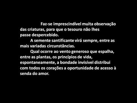 Cap. 25 - ESTUDANDO O LIVRO PÃO NOSSO - Nas estradas - Chico Xavier e Emmanuel