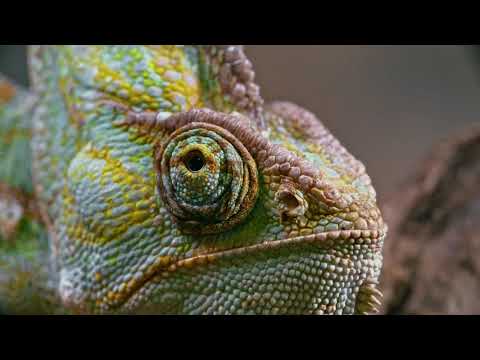 #Nature has created everything with #perfection #Animal's Story