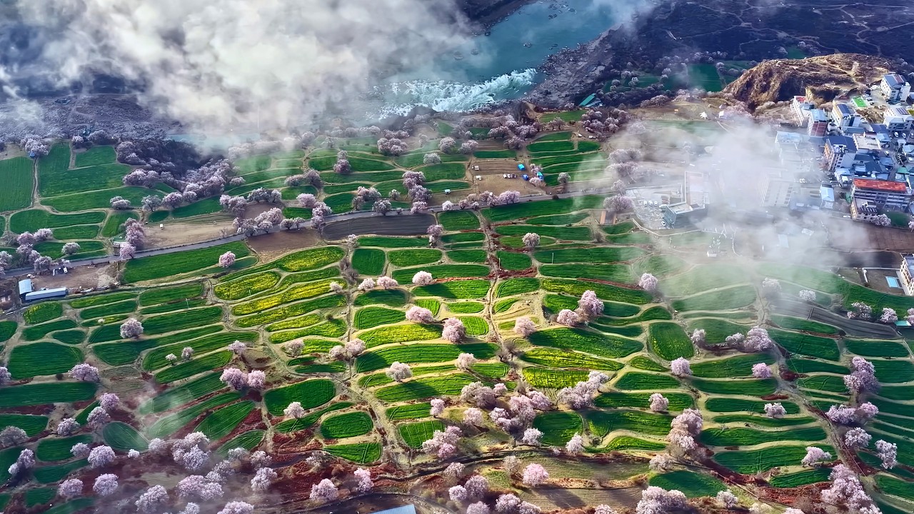 Belleza natural de región autónoma de Xizang: un paraíso idílico en el Gran Cañón de Yarlung Zangbo