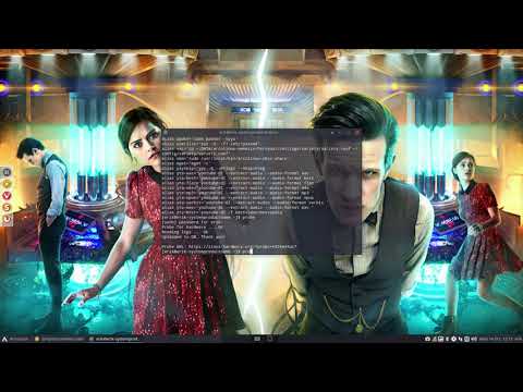 ArcoLinux : 1654 .bashrc gets a new alias : probe - a way to help you solve issues