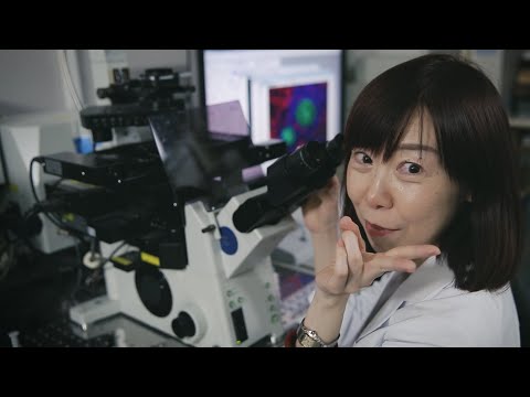 Sensei Theater:"Making kidney diseases curable"