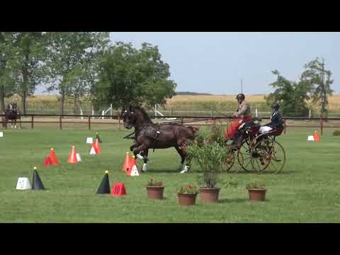 Szilágyi Zsolt - CAN-A, H2, Mélykút, akadályhajtás/cones, 2022. augusztus 14.