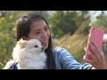 Open video