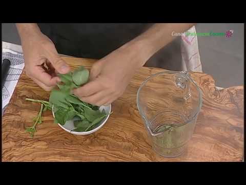 download lagu mp3 mp4 Pesto Verde Wiki, download lagu Pesto Verde Wiki gratis, unduh video klip Pesto Verde Wiki