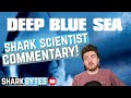 Watch 'DEEP BLUE SEA' with a Shark Scientist! (Movie commentary & reaction)