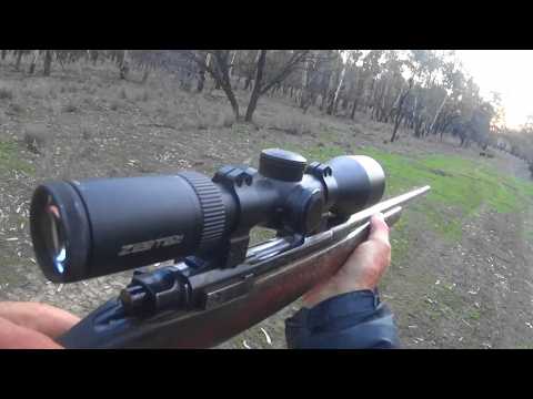 Out after a few feral pigs in the Aussie bush day and night.
