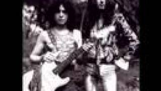 T.Rex/Marc Bolan/Steve Took Tribute