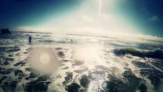 La Fleur Fatale - Beautiful Rats