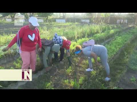 Colectivos laborales de Pinar del Río se unen por la producción de alimentos
