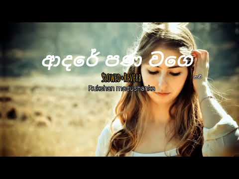 Adare Pana wage | ආදරේ පණ වගේ | Rukshan madushanka | Slowed+Reverb 🎶