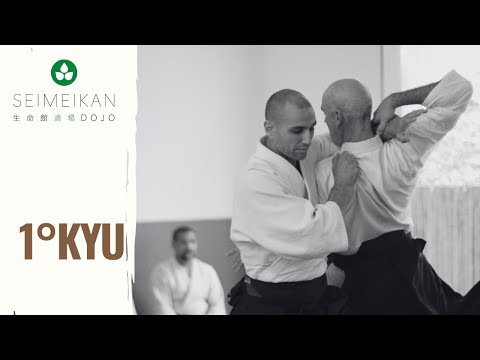 Aikido - Belt Exam - 1st Kyu