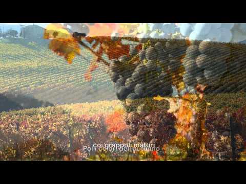 download lagu mp3 mp4 Benedici O Signore, download mp3 Benedici O Signore free download, download mp3 Benedici O Signore
