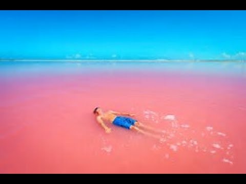 Las Coloradas pink lake in Mexico