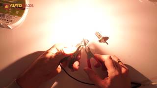 Philips H1 LongLife EcoVision (12258LLECOS2) - відео 1