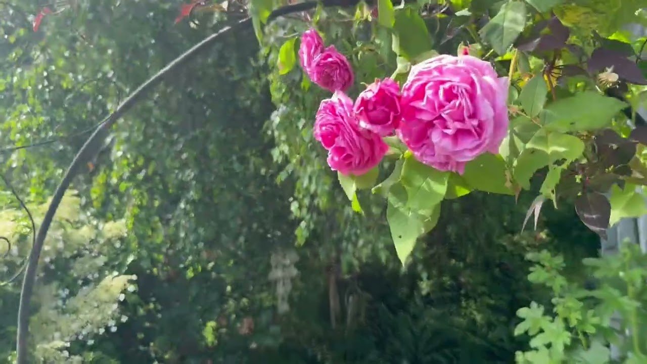 6 rum Villa på Sörkroken 7 Höviksnäs Tjörns kommun - video