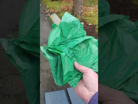 #Audit fail. Seattle Center and Seattle Animal Control rescue run away dog. But make a POOP FAIL!!!