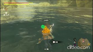 [問題] 王淚 生命榴槤在哪？